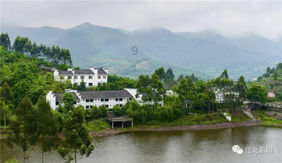 到底什么是“白虎”?胡雪岩生前为何要告诫子孙:要远离“白虎”