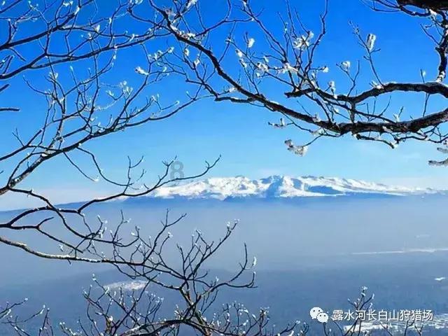 苹果 Apple Watch 可禁用“双指互点两下”手势，避免和 Vision Pro 头显冲突
