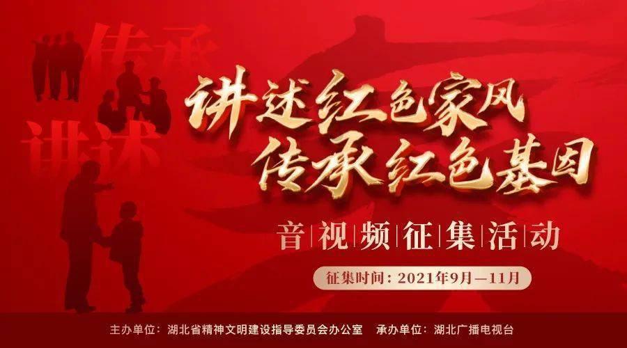 狗狗物品记忆卡